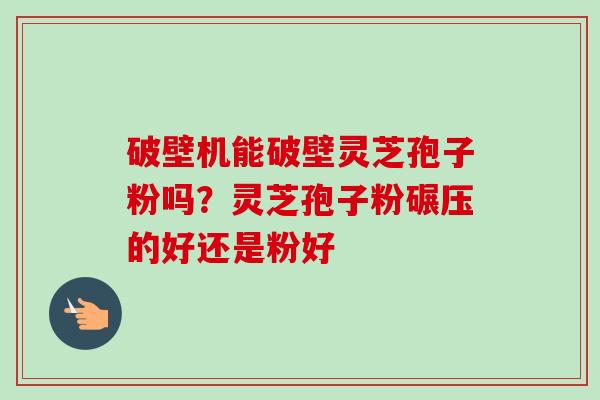 破壁机能破壁灵芝孢子粉吗？灵芝孢子粉碾压的好还是粉好-第1张图片-卓越灵芝孢子粉