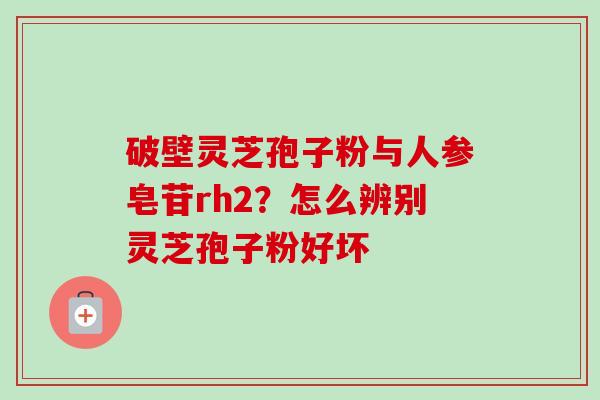 破壁灵芝孢子粉与人参皂苷rh2？怎么辨别灵芝孢子粉好坏-第1张图片-卓越灵芝孢子粉