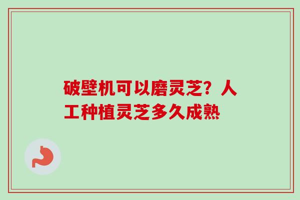 破壁机可以磨灵芝?人工种植灵芝多久成熟-第1张图片-卓越灵芝孢子粉 破壁机可以磨灵芝?人工种植灵芝多久成熟-第1张图片-卓越灵芝孢子粉