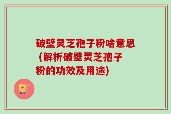 破壁灵芝孢子粉啥意思 (解析破壁灵芝孢子粉的功效及用途)-第1张图片-卓越灵芝孢子粉 破壁灵芝孢子粉啥意思 (解析破壁灵芝孢子粉的功效及用途)-第1张图片-卓越灵芝孢子粉