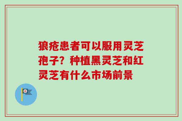 狼疮患者可以服用灵芝孢子?种植黑灵芝和红灵芝有什么市场前景-第1张图片-卓越灵芝孢子粉 狼疮患者可以服用灵芝孢子?种植黑灵芝和红灵芝有什么市场前景-第1张图片-卓越灵芝孢子粉