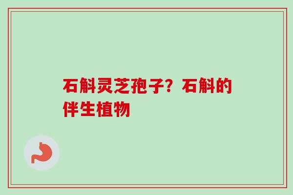 石斛灵芝孢子?石斛的伴生植物-第1张图片-卓越灵芝孢子粉 石斛灵芝孢子?石斛的伴生植物-第1张图片-卓越灵芝孢子粉