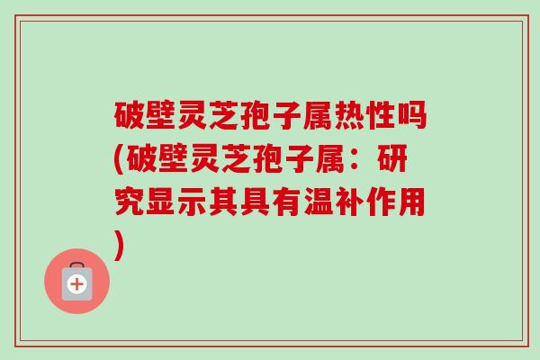 破壁灵芝孢子属热性吗(破壁灵芝孢子属:研究显示其具有温补作用)-第1张图片-卓越灵芝孢子粉 破壁灵芝孢子属热性吗(破壁灵芝孢子属:研究显示其具有温补作用)-第1张图片-卓越灵芝孢子粉