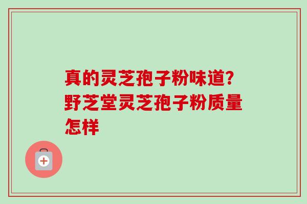 真的灵芝孢子粉味道?野芝堂灵芝孢子粉质量怎样-第1张图片-卓越灵芝孢子粉 真的灵芝孢子粉味道?野芝堂灵芝孢子粉质量怎样-第1张图片-卓越灵芝孢子粉