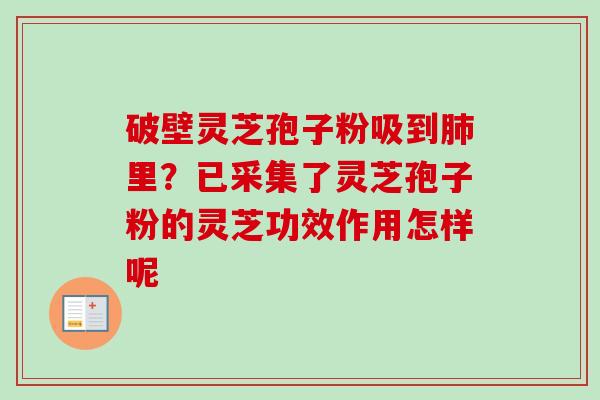 破壁灵芝孢子粉吸到肺里？已采集了灵芝孢子粉的灵芝功效作用怎样呢-第1张图片-卓越灵芝孢子粉
