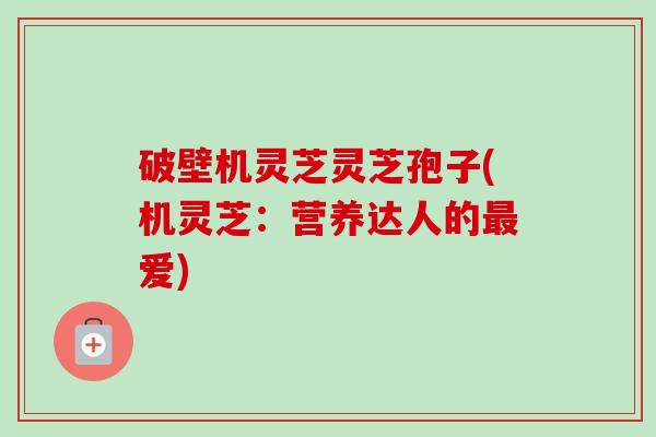 破壁机灵芝灵芝孢子(机灵芝:营养达人的最爱)-第1张图片-卓越灵芝孢子粉 破壁机灵芝灵芝孢子(机灵芝:营养达人的最爱)-第1张图片-卓越灵芝孢子粉