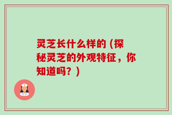 灵芝长什么样的 (探秘灵芝的外观特征，你知道吗？)-第1张图片-卓越灵芝孢子粉