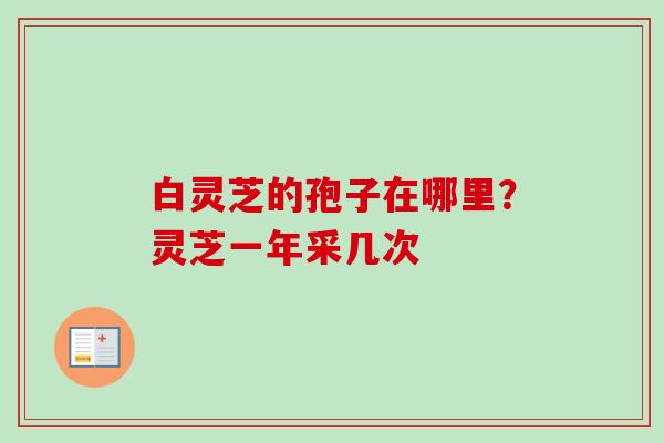 白灵芝的孢子在哪里?灵芝一年采几次-第1张图片-卓越灵芝孢子粉 白灵芝的孢子在哪里?灵芝一年采几次-第1张图片-卓越灵芝孢子粉