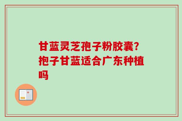 甘蓝灵芝孢子粉胶囊?抱子甘蓝适合广东种植吗-第1张图片-卓越灵芝孢子粉 甘蓝灵芝孢子粉胶囊?抱子甘蓝适合广东种植吗-第1张图片-卓越灵芝孢子粉