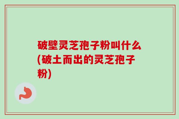 破壁灵芝孢子粉叫什么(破土而出的灵芝孢子粉)-第1张图片-卓越灵芝孢子粉
