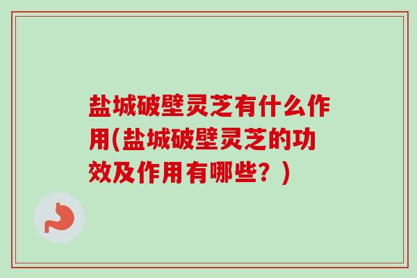 盐城破壁灵芝有什么作用(盐城破壁灵芝的功效及作用有哪些?)-第1张图片-卓越灵芝孢子粉 盐城破壁灵芝有什么作用(盐城破壁灵芝的功效及作用有哪些?)-第1张图片-卓越灵芝孢子粉