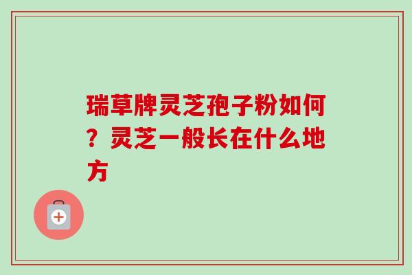 瑞草牌灵芝孢子粉如何？灵芝一般长在什么地方-第1张图片-卓越灵芝孢子粉