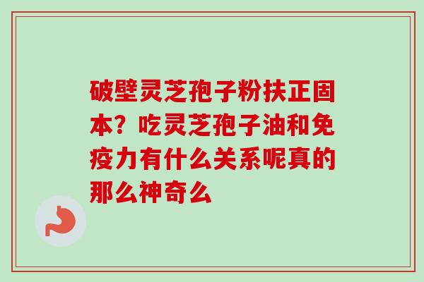 破壁灵芝孢子粉扶正固本？吃灵芝孢子油和免疫力有什么关系呢真的那么神奇么-第1张图片-卓越灵芝孢子粉