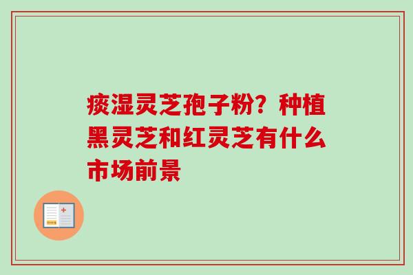 痰湿灵芝孢子粉？种植黑灵芝和红灵芝有什么市场前景-第1张图片-卓越灵芝孢子粉