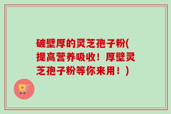 破壁厚的灵芝孢子粉(提高营养吸收！厚壁灵芝孢子粉等你来用！)-第1张图片-卓越灵芝孢子粉