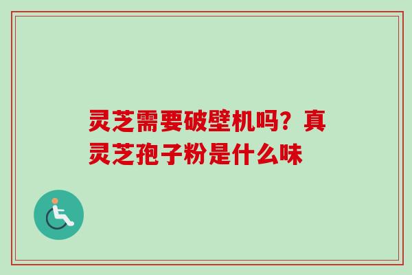 灵芝需要破壁机吗?真灵芝孢子粉是什么味-第1张图片-卓越灵芝孢子粉 灵芝需要破壁机吗?真灵芝孢子粉是什么味-第1张图片-卓越灵芝孢子粉