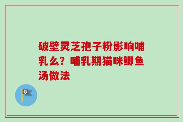 破壁灵芝孢子粉影响哺乳么？哺乳期猫咪鲫鱼汤做法-第1张图片-卓越灵芝孢子粉