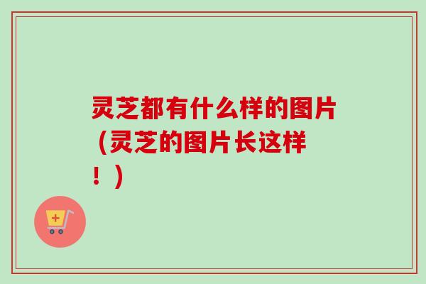 灵芝都有什么样的图片 (灵芝的图片长这样!)-第1张图片-卓越灵芝孢子粉 灵芝都有什么样的图片 (灵芝的图片长这样!)-第1张图片-卓越灵芝孢子粉