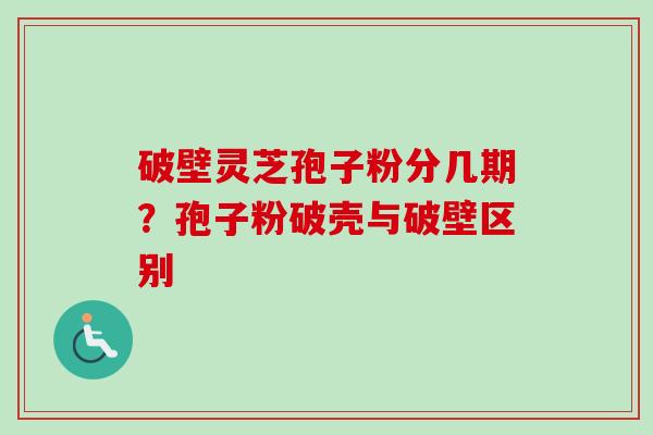 破壁灵芝孢子粉分几期？孢子粉破壳与破壁区别-第1张图片-卓越灵芝孢子粉