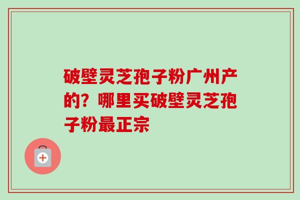 破壁灵芝孢子粉广州产的？哪里买破壁灵芝孢子粉最正宗-第1张图片-卓越灵芝孢子粉