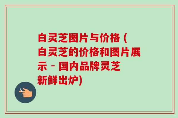 白灵芝图片与价格 (白灵芝的价格和图片展示 - 国内品牌灵芝新鲜出炉)-第1张图片-卓越灵芝孢子粉 白灵芝图片与价格 (白灵芝的价格和图片展示 - 国内品牌灵芝新鲜出炉)-第1张图片-卓越灵芝孢子粉