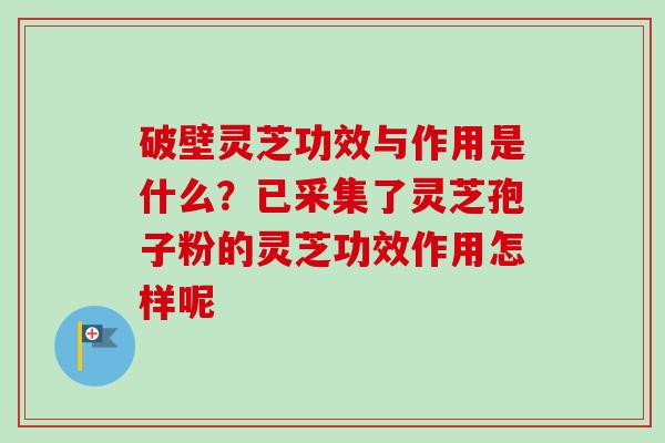 破壁灵芝功效与作用是什么?已采集了灵芝孢子粉的灵芝功效作用怎样呢-第1张图片-卓越灵芝孢子粉 破壁灵芝功效与作用是什么?已采集了灵芝孢子粉的灵芝功效作用怎样呢-第1张图片-卓越灵芝孢子粉