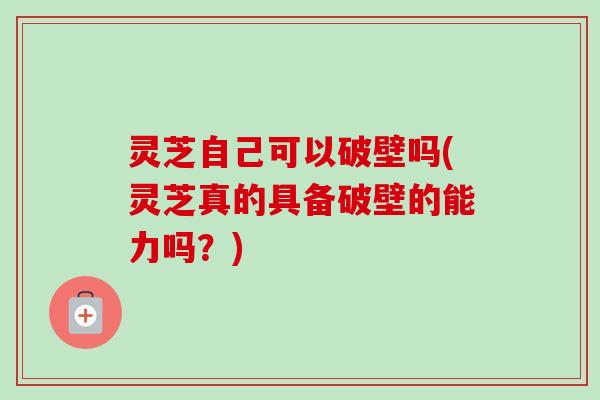 灵芝自己可以破壁吗(灵芝真的具备破壁的能力吗？)-第1张图片-卓越灵芝孢子粉
