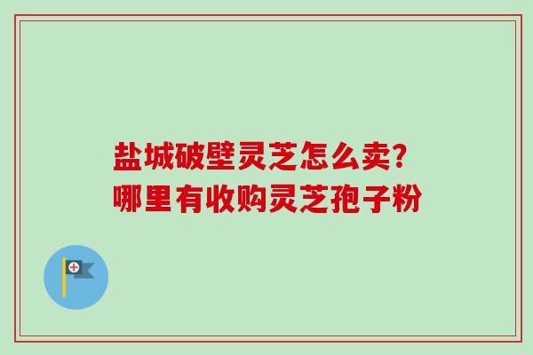 盐城破壁灵芝怎么卖？哪里有收购灵芝孢子粉-第1张图片-卓越灵芝孢子粉