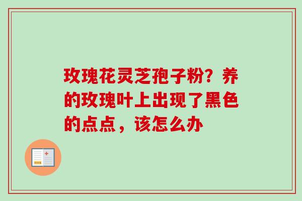 玫瑰花灵芝孢子粉?养的玫瑰叶上出现了黑色的点点,该怎么办-第1张图片-卓越灵芝孢子粉 玫瑰花灵芝孢子粉?养的玫瑰叶上出现了黑色的点点,该怎么办-第1张图片-卓越灵芝孢子粉
