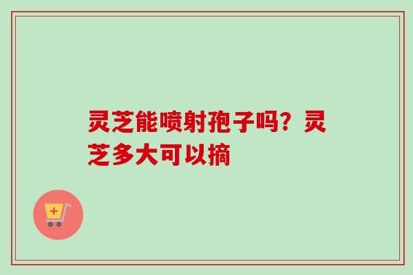 灵芝能喷射孢子吗?灵芝多大可以摘-第1张图片-卓越灵芝孢子粉 灵芝能喷射孢子吗?灵芝多大可以摘-第1张图片-卓越灵芝孢子粉