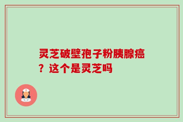 灵芝破壁孢子粉胰腺癌?这个是灵芝吗-第1张图片-卓越灵芝孢子粉 灵芝破壁孢子粉胰腺癌?这个是灵芝吗-第1张图片-卓越灵芝孢子粉