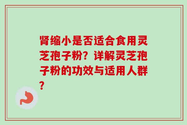 肾缩小是否适合食用灵芝孢子粉?详解灵芝孢子粉的功效与适用人群?-第1张图片-卓越灵芝孢子粉 肾缩小是否适合食用灵芝孢子粉?详解灵芝孢子粉的功效与适用人群?-第1张图片-卓越灵芝孢子粉