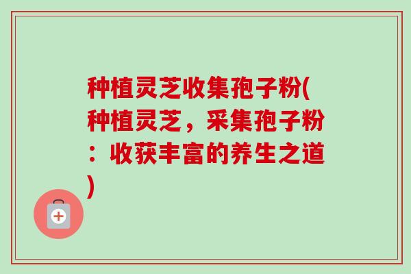 种植灵芝收集孢子粉(种植灵芝,采集孢子粉:收获丰富的养生之道)-第1张图片-卓越灵芝孢子粉 种植灵芝收集孢子粉(种植灵芝,采集孢子粉:收获丰富的养生之道)-第1张图片-卓越灵芝孢子粉