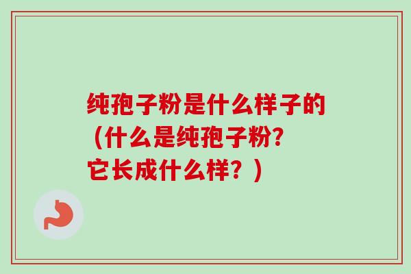 纯孢子粉是什么样子的 (什么是纯孢子粉?它长成什么样?)-第1张图片-卓越灵芝孢子粉 纯孢子粉是什么样子的 (什么是纯孢子粉?它长成什么样?)-第1张图片-卓越灵芝孢子粉