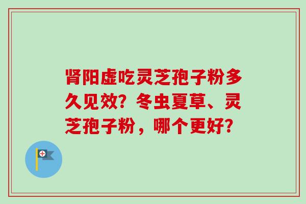 肾阳虚吃灵芝孢子粉多久见效?冬虫夏草、灵芝孢子粉,哪个更好?-第1张图片-卓越灵芝孢子粉 肾阳虚吃灵芝孢子粉多久见效?冬虫夏草、灵芝孢子粉,哪个更好?-第1张图片-卓越灵芝孢子粉