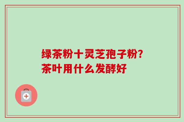 绿茶粉十灵芝孢子粉？茶叶用什么发酵好-第1张图片-卓越灵芝孢子粉