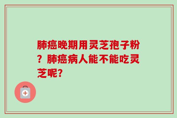 肺癌晚期用灵芝孢子粉?肺癌病人能不能吃灵芝呢?-第1张图片-卓越灵芝孢子粉 肺癌晚期用灵芝孢子粉?肺癌病人能不能吃灵芝呢?-第1张图片-卓越灵芝孢子粉