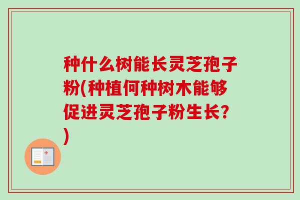 种什么树能长灵芝孢子粉(种植何种树木能够促进灵芝孢子粉生长?)-第1张图片-卓越灵芝孢子粉 种什么树能长灵芝孢子粉(种植何种树木能够促进灵芝孢子粉生长?)-第1张图片-卓越灵芝孢子粉