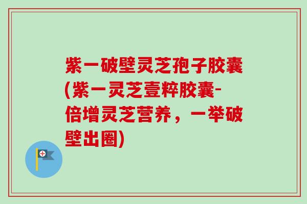 紫一破壁灵芝孢子胶囊(紫一灵芝壹粹胶囊-倍增灵芝营养,一举破壁出圈)-第1张图片-卓越灵芝孢子粉 紫一破壁灵芝孢子胶囊(紫一灵芝壹粹胶囊-倍增灵芝营养,一举破壁出圈)-第1张图片-卓越灵芝孢子粉