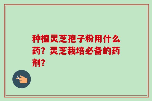 种植灵芝孢子粉用什么药？灵芝栽培必备的药剂？-第1张图片-卓越灵芝孢子粉