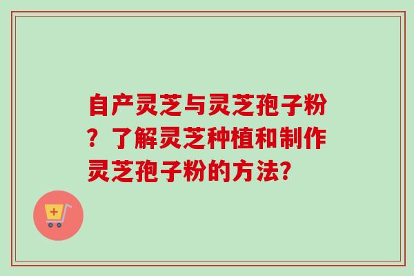 自产灵芝与灵芝孢子粉？了解灵芝种植和制作灵芝孢子粉的方法？-第1张图片-卓越灵芝孢子粉