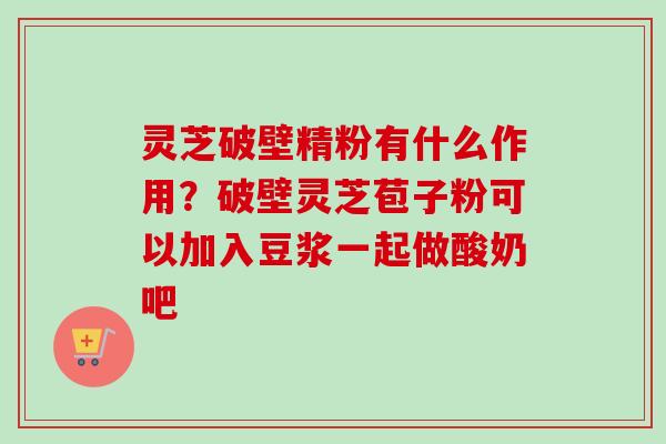 灵芝破壁精粉有什么作用?破壁灵芝苞子粉可以加入豆浆一起做酸奶吧-第1张图片-卓越灵芝孢子粉 灵芝破壁精粉有什么作用?破壁灵芝苞子粉可以加入豆浆一起做酸奶吧-第1张图片-卓越灵芝孢子粉