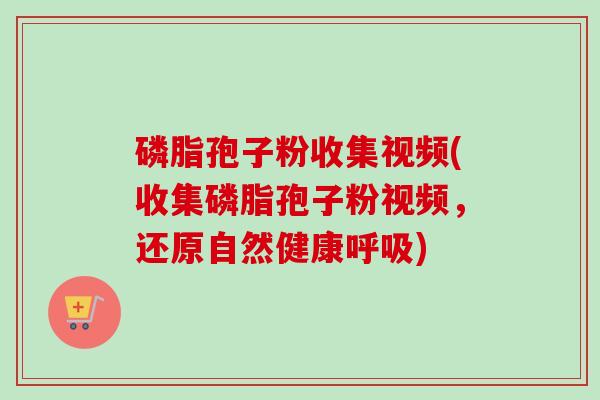 磷脂孢子粉收集视频(收集磷脂孢子粉视频,还原自然健康呼吸)-第1张图片-卓越灵芝孢子粉 磷脂孢子粉收集视频(收集磷脂孢子粉视频,还原自然健康呼吸)-第1张图片-卓越灵芝孢子粉