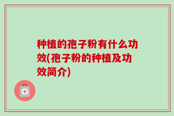 种植的孢子粉有什么功效(孢子粉的种植及功效简介)-第1张图片-卓越灵芝孢子粉 种植的孢子粉有什么功效(孢子粉的种植及功效简介)-第1张图片-卓越灵芝孢子粉