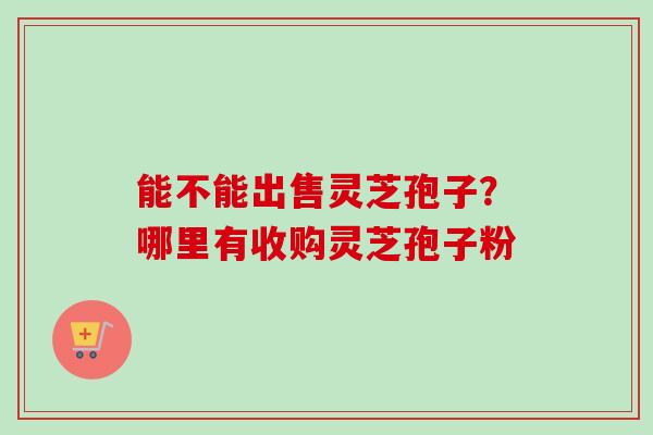 能不能出售灵芝孢子?哪里有收购灵芝孢子粉-第1张图片-卓越灵芝孢子粉 能不能出售灵芝孢子?哪里有收购灵芝孢子粉-第1张图片-卓越灵芝孢子粉