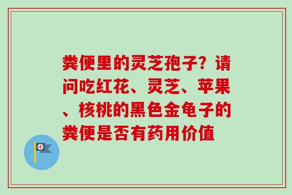 粪便里的灵芝孢子?请问吃红花、灵芝、苹果、核桃的黑色金龟子的粪便是否有药用价值-第1张图片-卓越灵芝孢子粉 粪便里的灵芝孢子?请问吃红花、灵芝、苹果、核桃的黑色金龟子的粪便是否有药用价值-第1张图片-卓越灵芝孢子粉