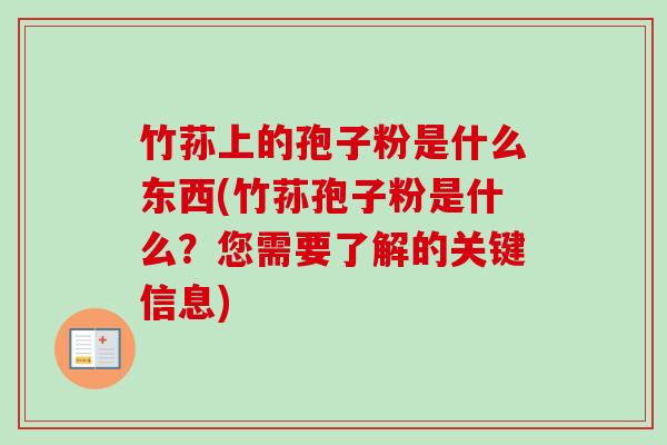 竹荪上的孢子粉是什么东西(竹荪孢子粉是什么？您需要了解的关键信息)-第1张图片-卓越灵芝孢子粉