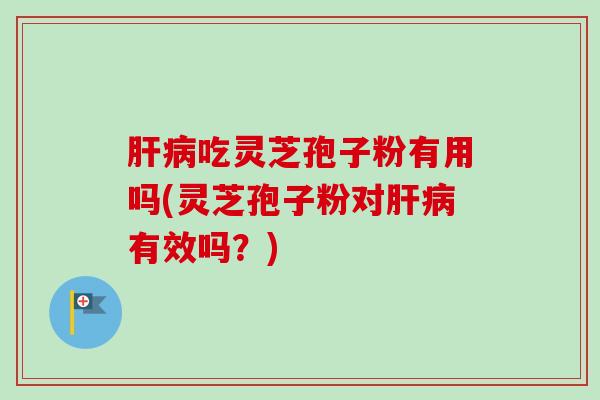 肝病吃灵芝孢子粉有用吗(灵芝孢子粉对肝病有效吗?)-第1张图片-卓越灵芝孢子粉 肝病吃灵芝孢子粉有用吗(灵芝孢子粉对肝病有效吗?)-第1张图片-卓越灵芝孢子粉