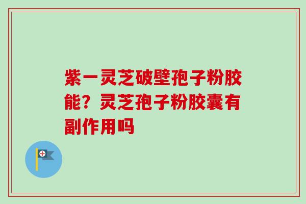 紫一灵芝破壁孢子粉胶能?灵芝孢子粉胶囊有副作用吗-第1张图片-卓越灵芝孢子粉 紫一灵芝破壁孢子粉胶能?灵芝孢子粉胶囊有副作用吗-第1张图片-卓越灵芝孢子粉