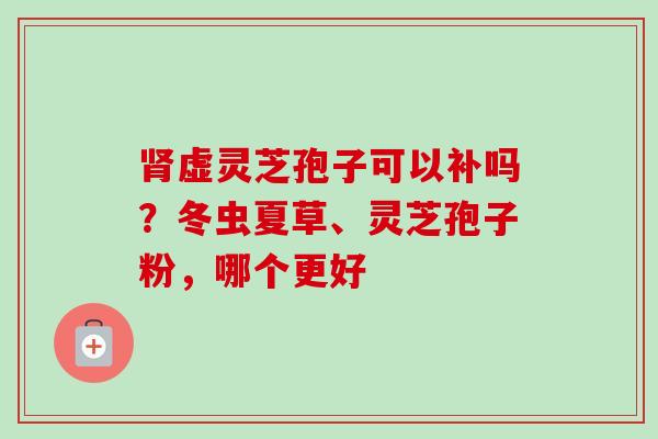 肾虚灵芝孢子可以补吗?冬虫夏草、灵芝孢子粉,哪个更好-第1张图片-卓越灵芝孢子粉 肾虚灵芝孢子可以补吗?冬虫夏草、灵芝孢子粉,哪个更好-第1张图片-卓越灵芝孢子粉